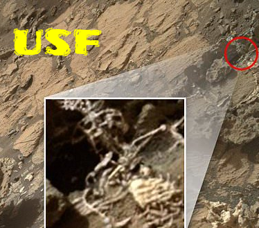 Skeletons found on Mars by the Mars Rover.