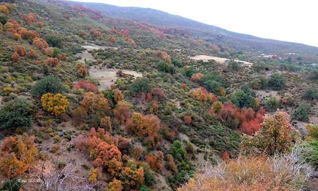 Dehesa del Camarate de Lugros, Granada, senderismo