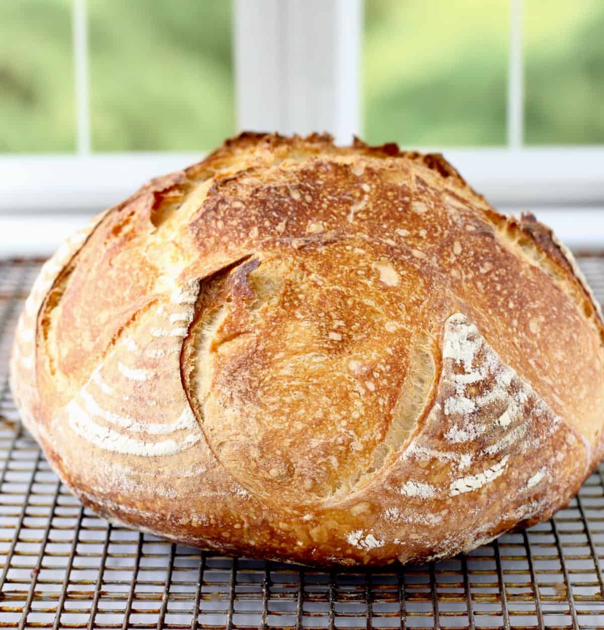 Cold Start Sourdough Bread With