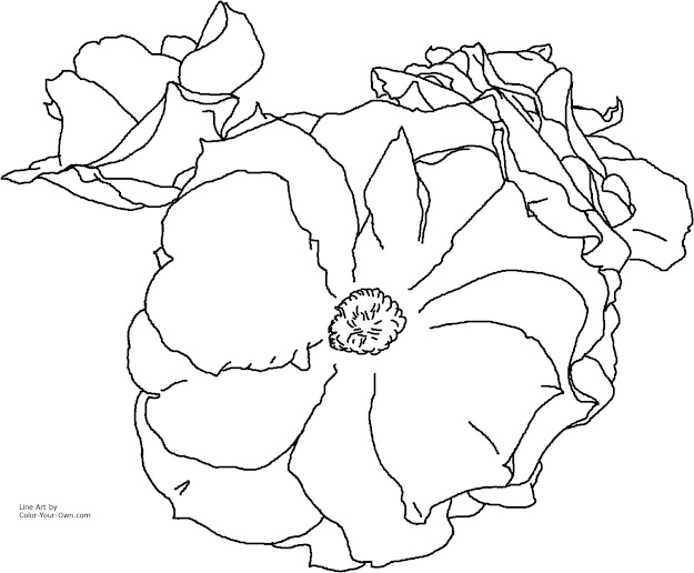  Printable Size Click Here  Return To The Coloring Pages Index