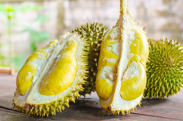 Berapa Harga Supplier Jual Durian Montong Manado, Sulawesi Utara