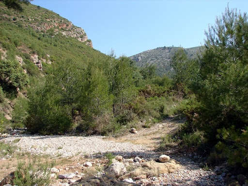 Barranc Salt del Cavall