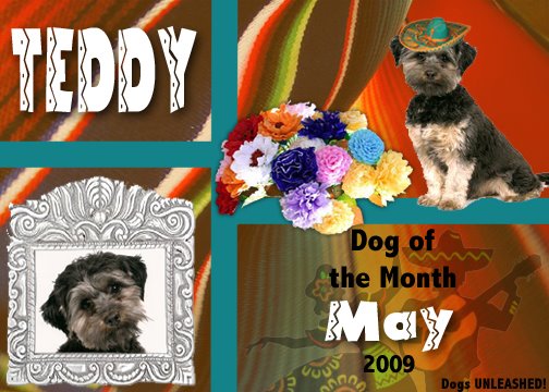 DOTM May 2009
