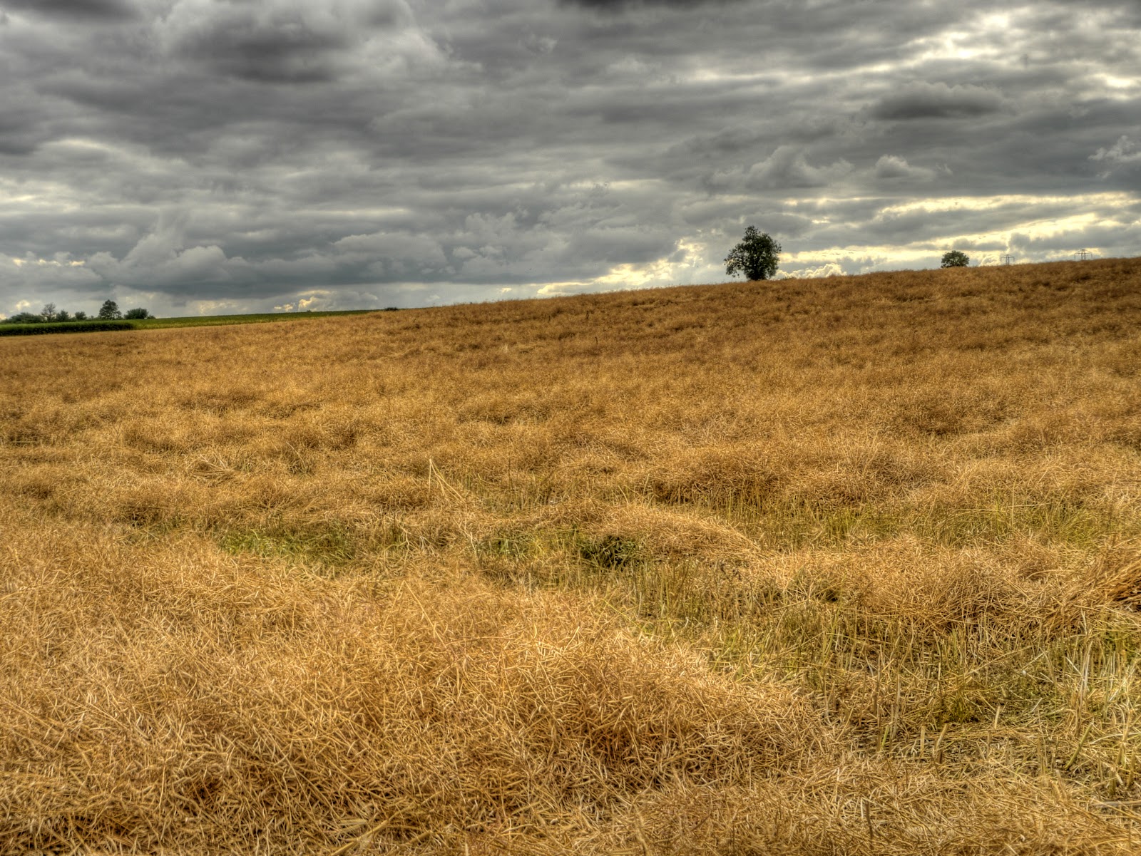 P1140851_45_46_47_48_49_50_tonemapped.jpg