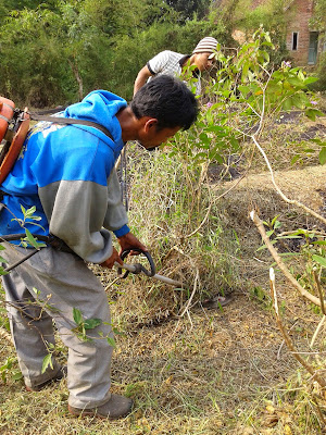 TUKANG POTONG RUMPUT