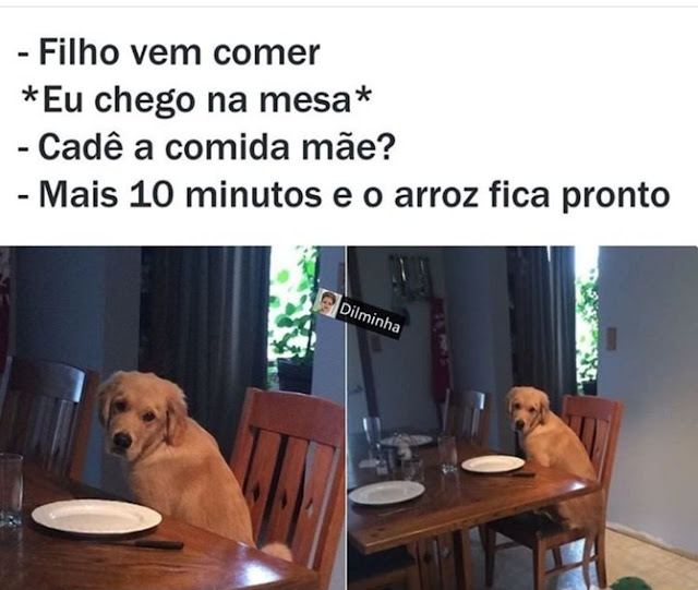 Memes engraçados