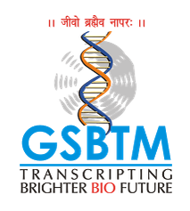 GSBTM & GBRC Clerk cum Typist (Group-3) Provisional Answer key and Question Paper (23-06-2019)