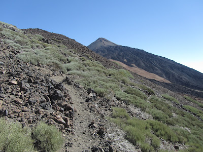 NARICES DEL TEIDE A PICO VIEJO - MIRADOR DE PICO VIEJO - ASCENSIÓN A PICO TEIDE - MIRADOR DE LA FORTALEZA  - TEIDE A MONTAÑA BLANCA, sendero número 9 en dirección al Volcán de Pico Viejo en el Parque Nacional del Teide