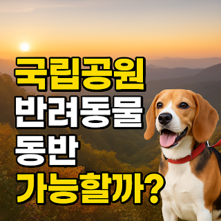 국립공원 등산 시 반려동물 동반 가능 여부 썸네일