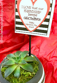 Succulent friendship valentine @michellepaigeblogs.com