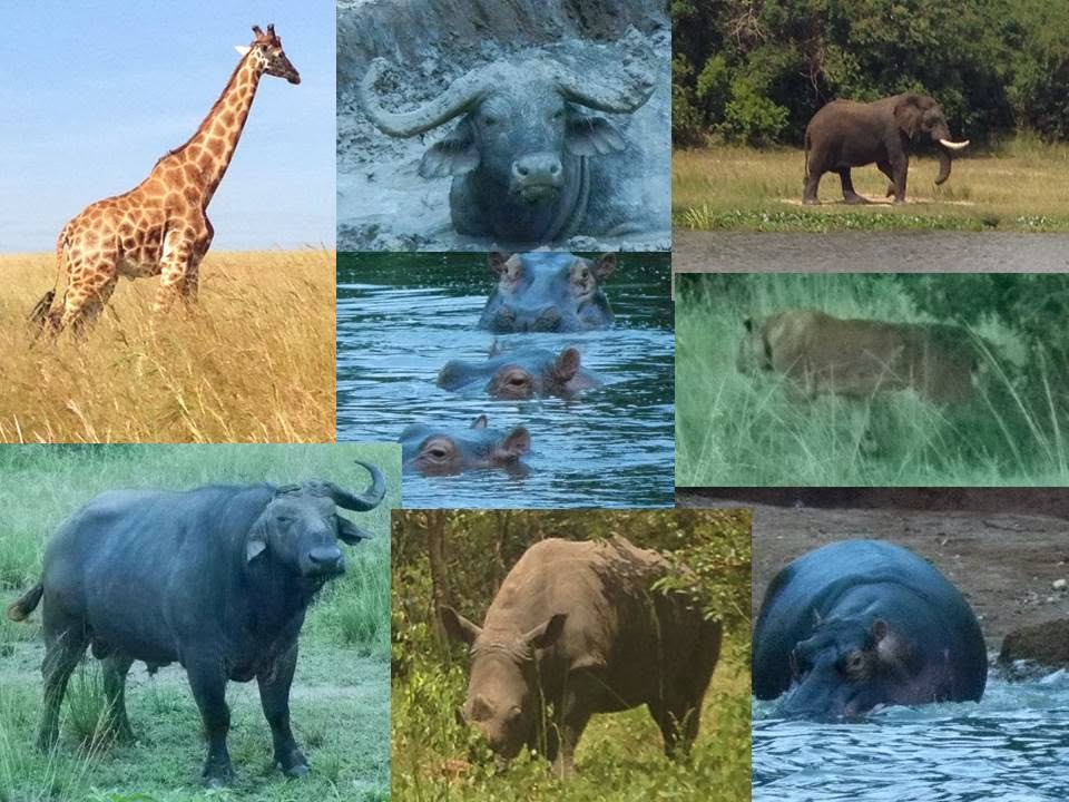 Uganda