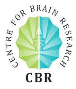 Centre for Brain Research Recruiting Postdocs