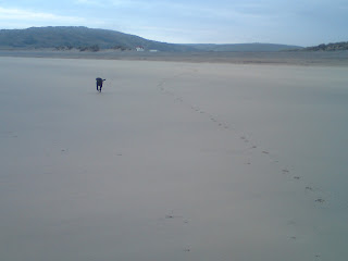 Cornish Beach, Dog Running Free, Dog Ban Lifts