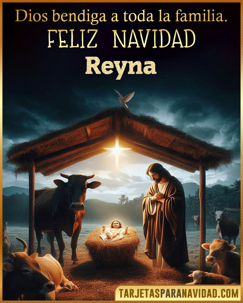 Feliz Navidad Reyna