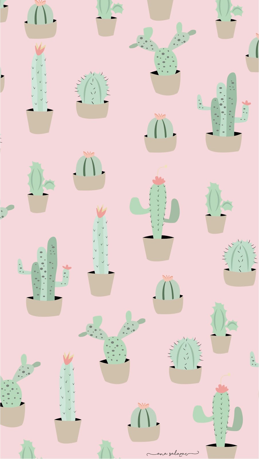11 jpg 904 1600 Cute  wallpapers  Cactus  backgrounds  