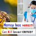 Honey bee venom could be next breast cancer treatment  