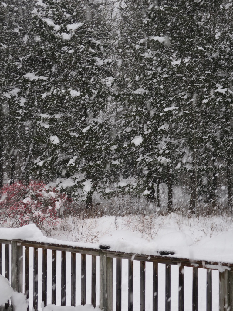 Tanglewood Threads: Living and Stitching in a Snow Globe