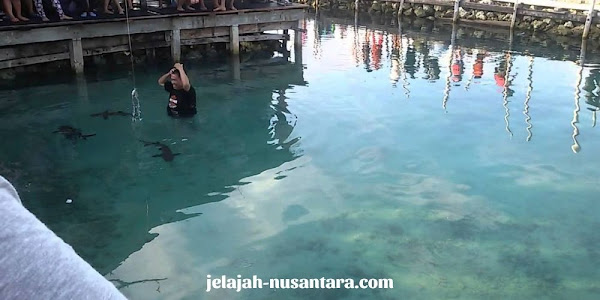 destinasi wisata pulau pramuka