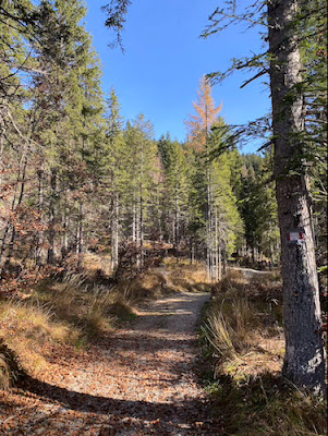 Passeggiata Malga Maraia in autunno