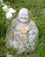 buddha weather