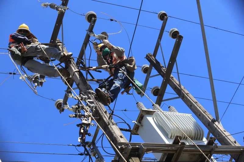 Saesa realizará faenas de mantenimiento de redes eléctricas en Osorno