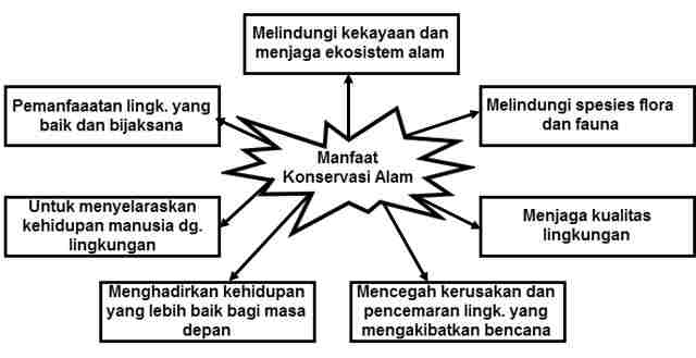 Peta Pikiran Manfaat Konservasi ALam