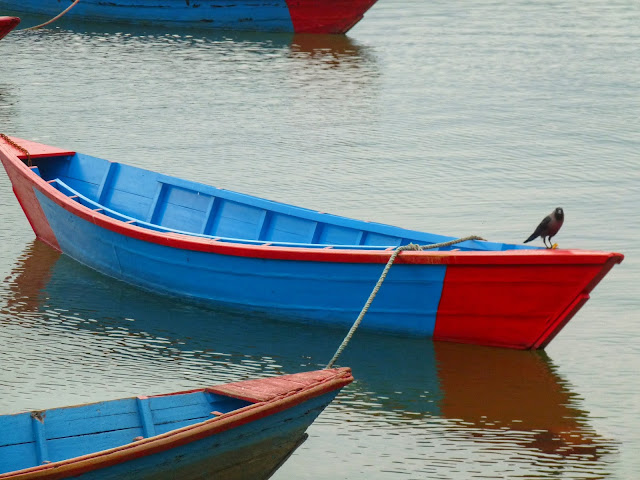 Boats in Pokhara