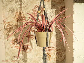 Pink Cordyline paper plant by we laugh indoors