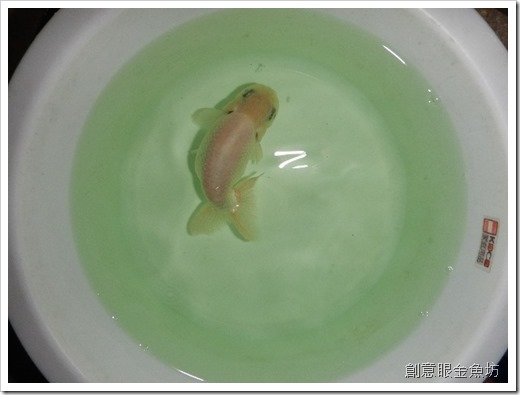 DSCN8832