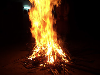 Bhogi 2016 Date