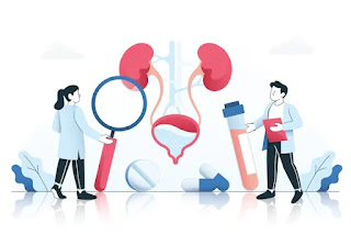 Enhanced Urinary Health .