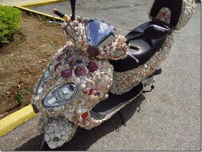 scootert003