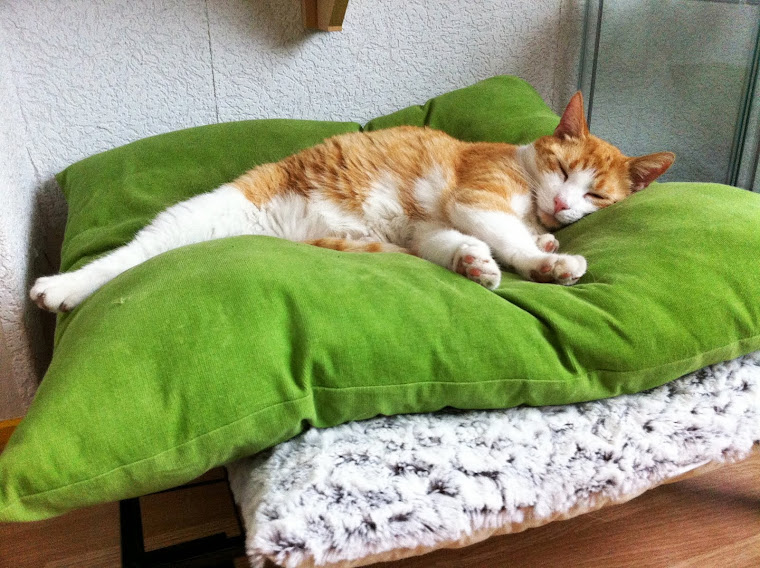 Klik hier voor Anneke's blog