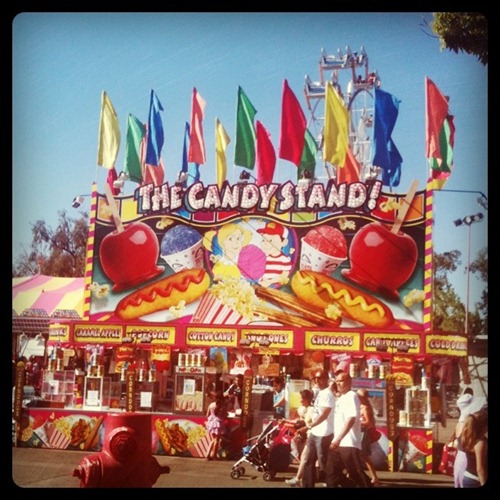 photo (2)