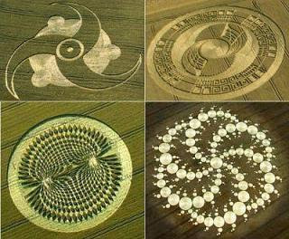 Ciri ciri dan Karakteristik Crop Circle yang Asli