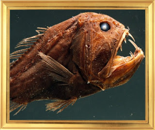 Fangtooth Fish