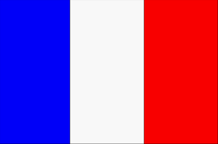 flag of france picture. flag of france