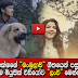 Rohitha rajapaksha New Music Video "Lanwee"