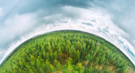 The Green Planet