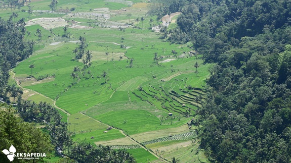 Desa Wisata Sepakung Cemoro Sewu Nan Hijau Pemandanganya