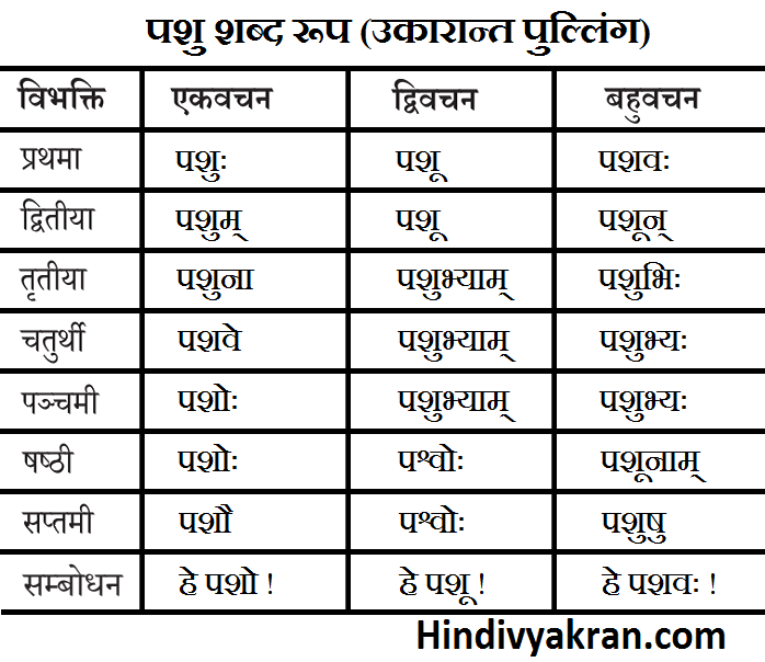 पशु शब्द रूप संस्कृत में – Pashu Shabd Roop In Sanskrit