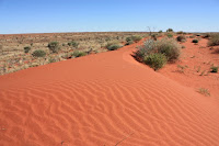 Crest of a red dune