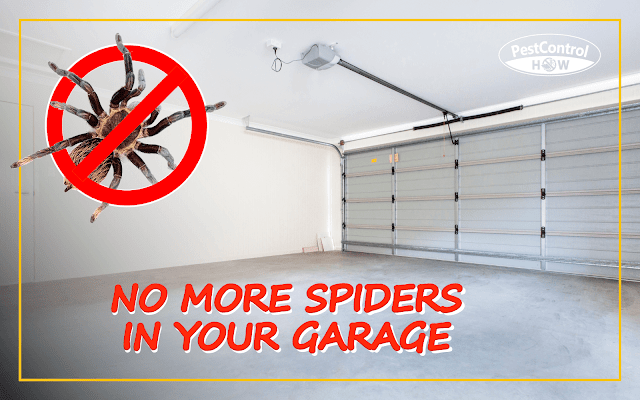 how-to-keep-spiders-out-of-garage