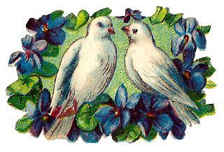 dove bird violets romantic image decorative clipart digital