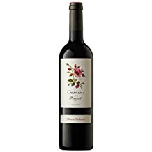 Camins del Priorat, Alvaro Palacios, Priorat , caisse de 12, Espagne, Grenache