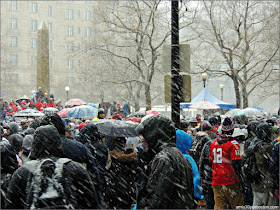 New England Patriots: Desfile Celebración de la Super Bowl