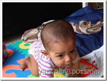 IMG03747-20110416-1617