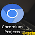Unduh Google Chromium Browser Terbaru!!