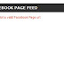 How to fix the error: not a valid facebook page url?