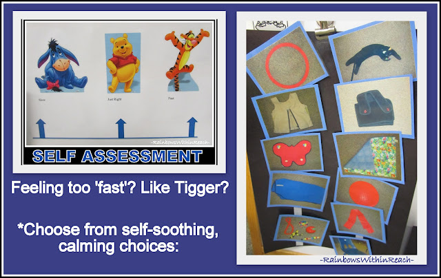 photo of: Self-Assessment for Calming Choices for Children with Special Needs